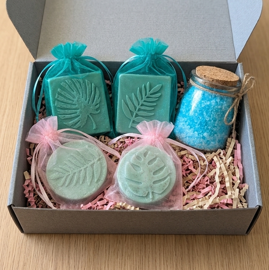Natural Skin Care Surprise Box (Set of 4)